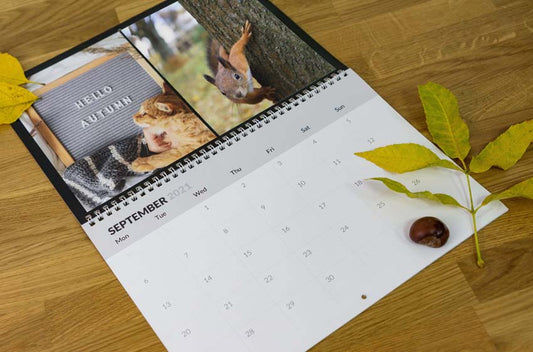 Double-sided calendar